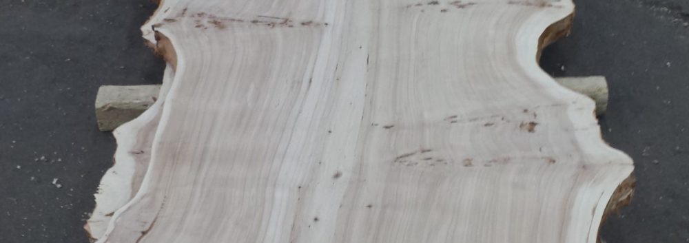 Mappa Burl Live Edge Slab
