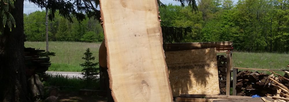 Live Edge Maple Slab