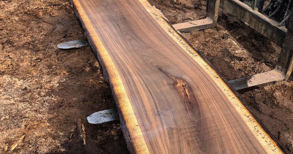 Live Edge Black Walnut Wood Slab