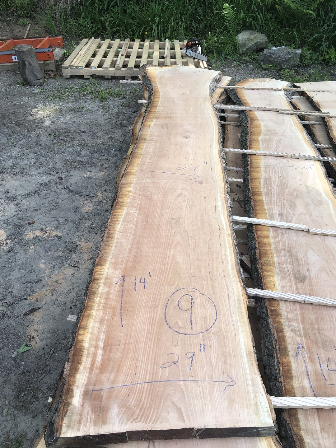 Live Edge Black Cherry Wood Slab