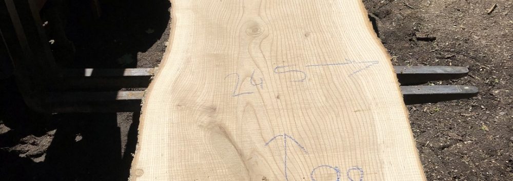 Live Edge White Ash Wood Slab