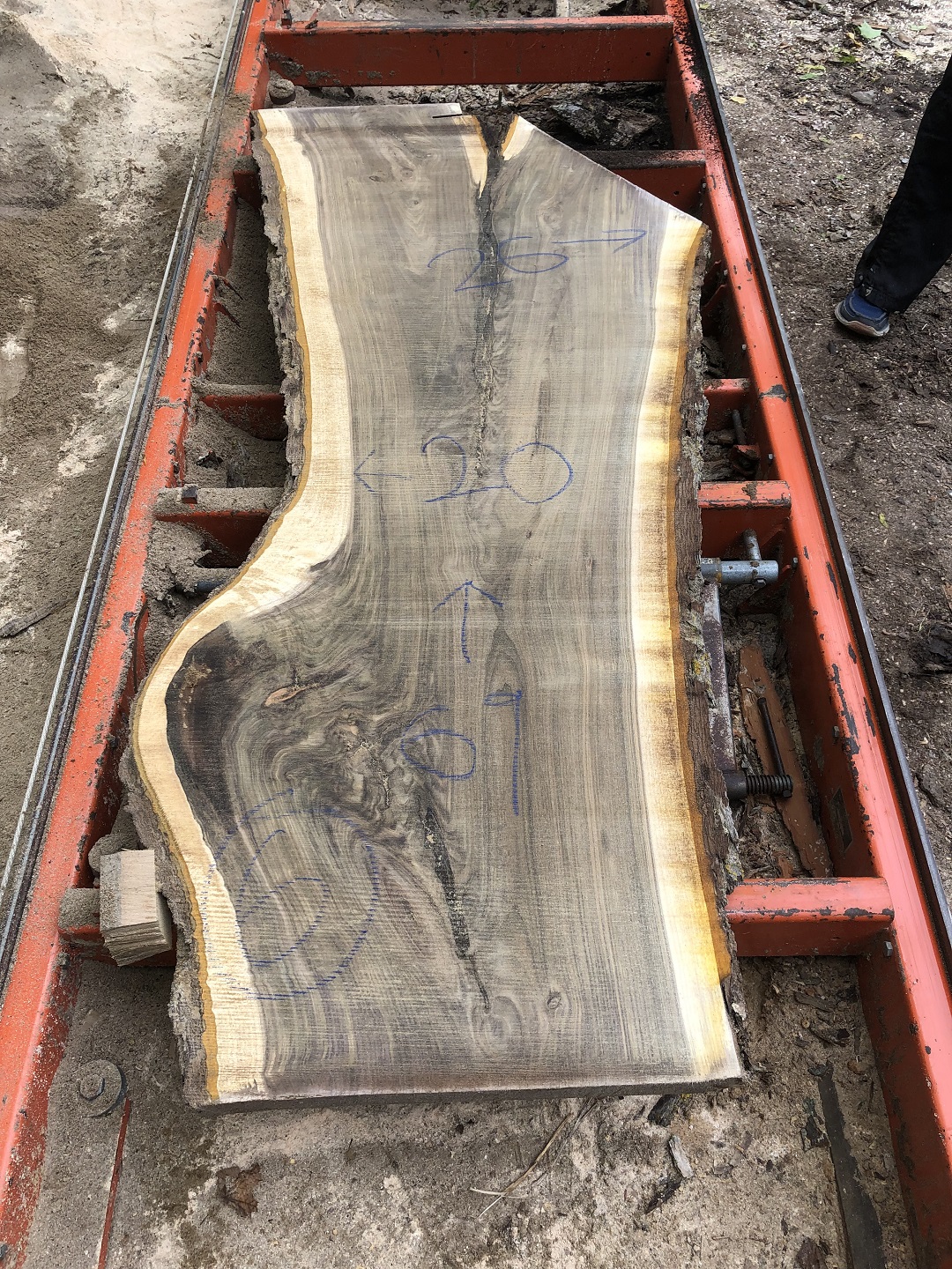 Live Edge Black Walnut Wood Slabs