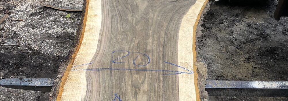 Coffee Table Live Edge Black Walnut Slab
