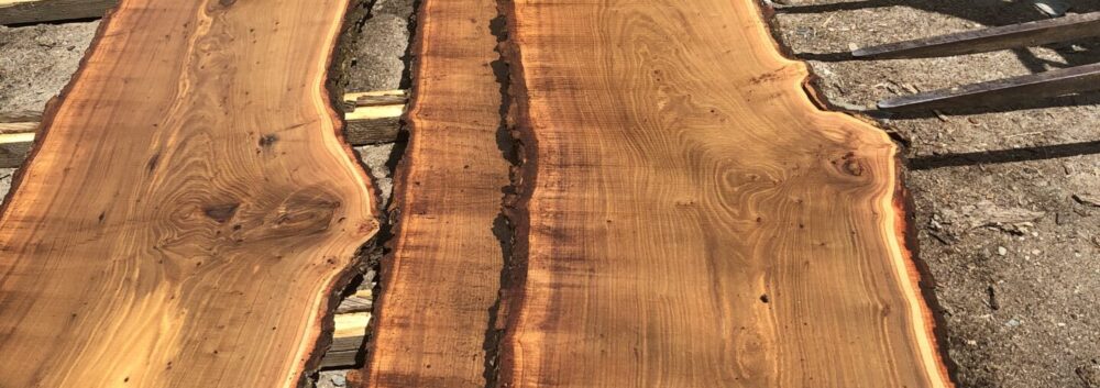 Live Edge Wood Slabs | Red Elm