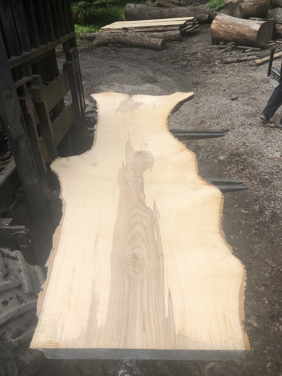 Live Edge White Ash Wood Slab For Sale | White Ash Wood